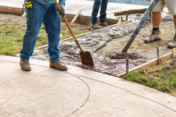 Best Custom Concrete Contractor  in Madelia, MN